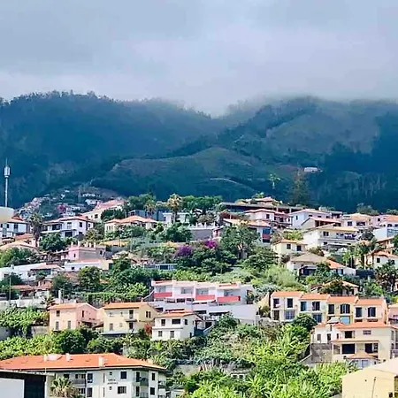 With Mountain View *