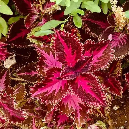 公寓 With Mountain View *