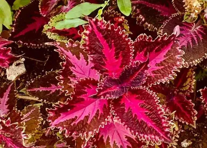 Apartmán With Mountain View *